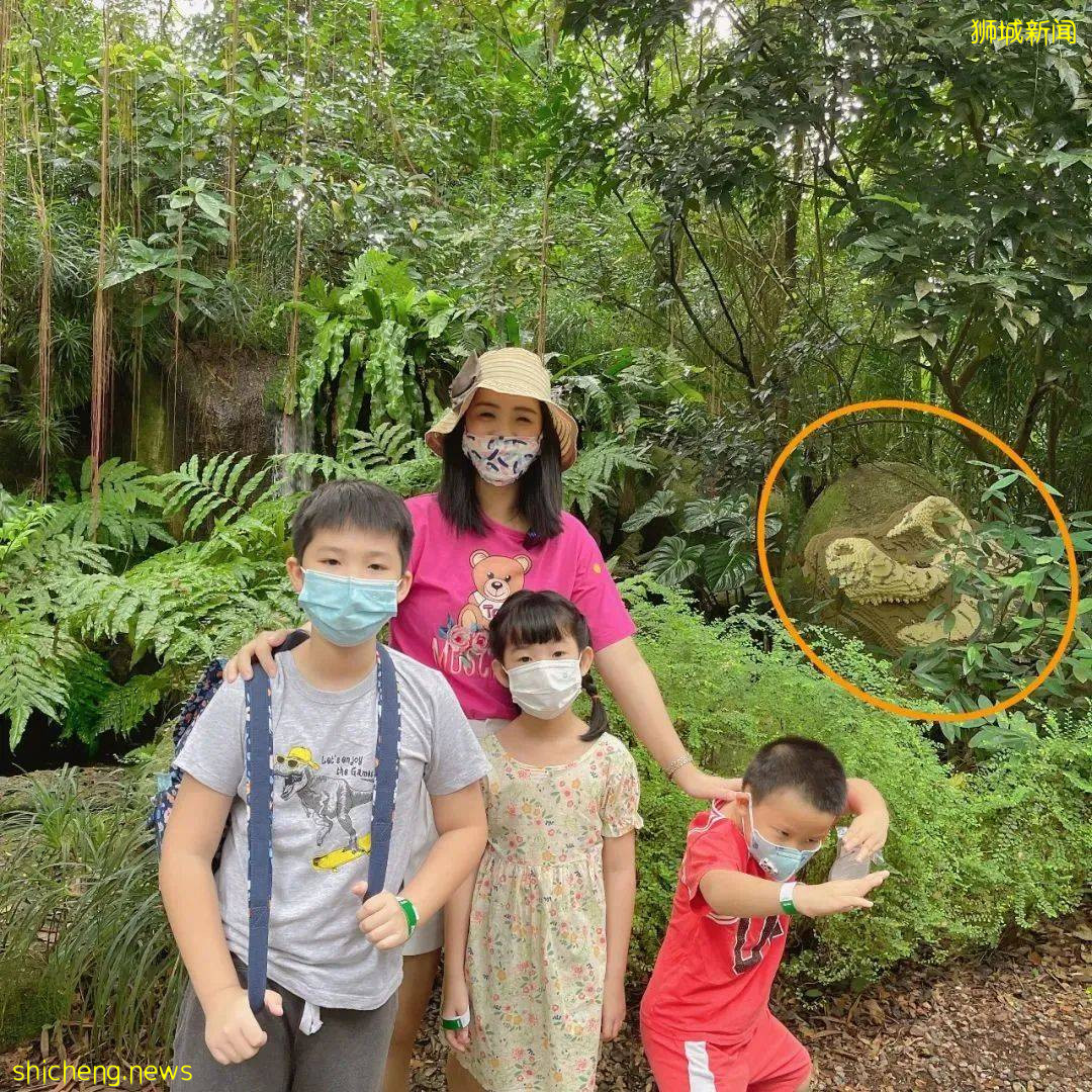 门票6折！一只恐龙有多大？亚洲首个积木恐龙世界，超过60只在新加坡动物园和河川生态园与你捉迷藏