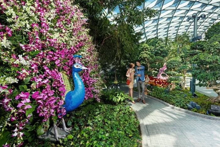 淨利潤減少這麽多！新加坡樟宜機場，你怎麽了