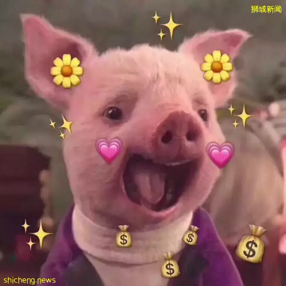 新加坡留學 全攻略，距離名校更進一步