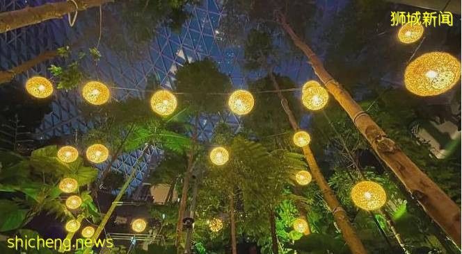 新加坡中秋節去哪裏看燈?拿來吧你