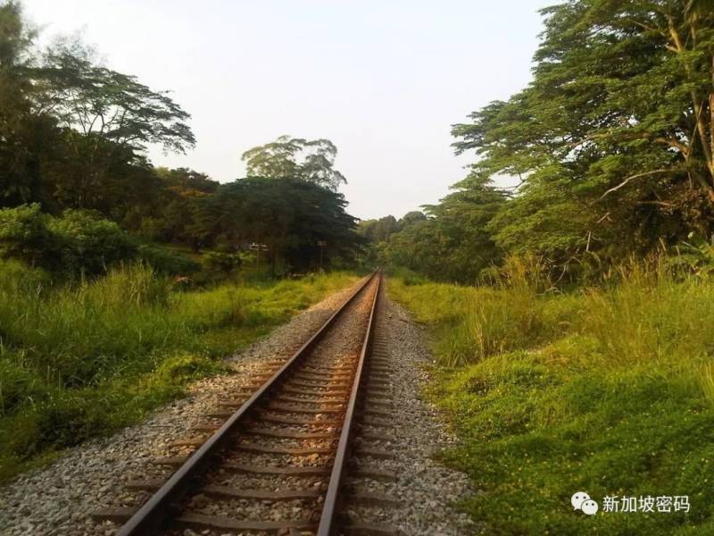 新加坡火车旅行梦想