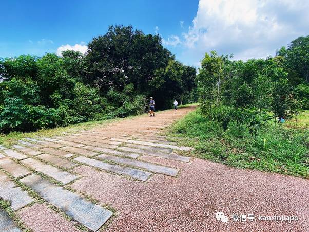 昨天小長假人山人海，武吉知馬老鐵路成新景點！前生今世大揭秘