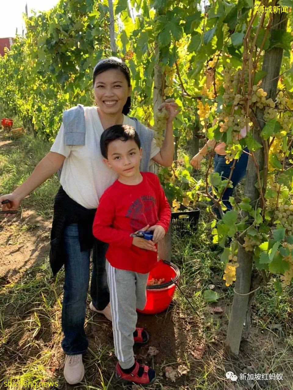 学校假期快到了 带12岁以下未接种疫苗小孩出国应注意些什么