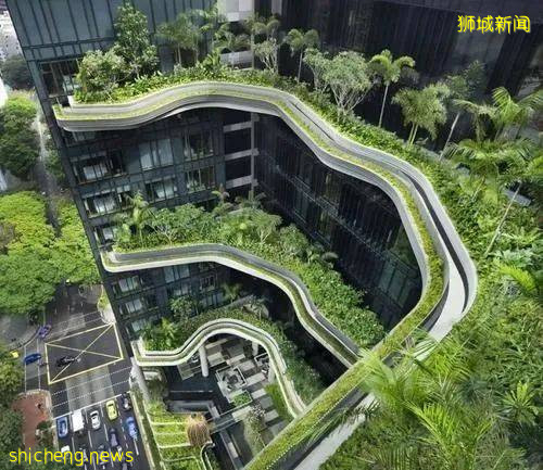 世界那麽大，爲什麽選擇新加坡