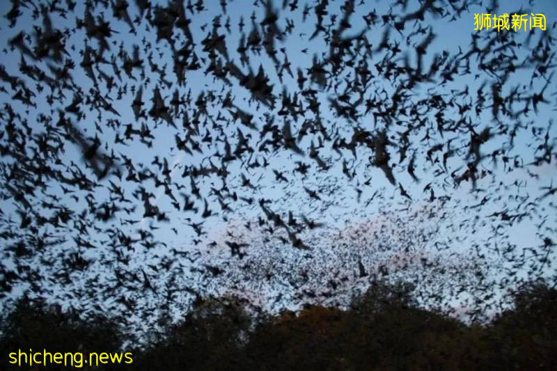 全球確診破700萬!2020,見證曆史的一年!