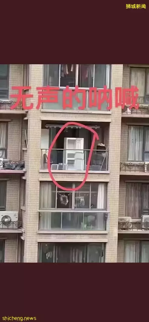 李显龙总理发声,挺中国防疫!上海的新加坡人晒冰箱,这些岛上阿姨曾囤出一个超市