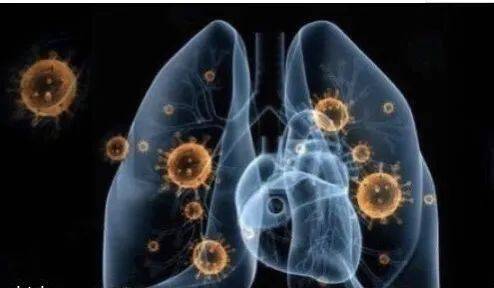 新加坡這人因大罵“中國人帶來冠病”被判刑