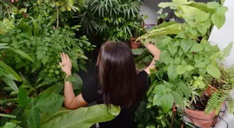 新加坡30件“合法但有病”的事！哈哈哈哈哈