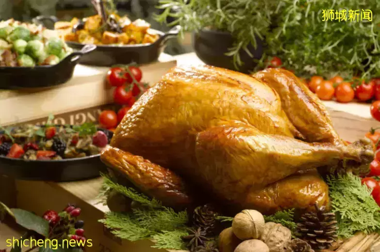 新加坡聖誕節不知道去哪過?看著一篇就夠了