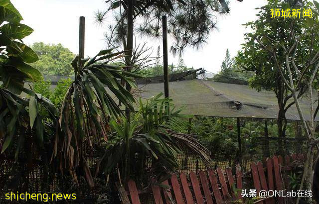 小紅點新加坡不爲人知的一面，非旅遊景點