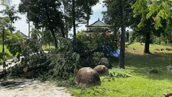 前晚,新加坡电闪雷鸣!美丽也很危险