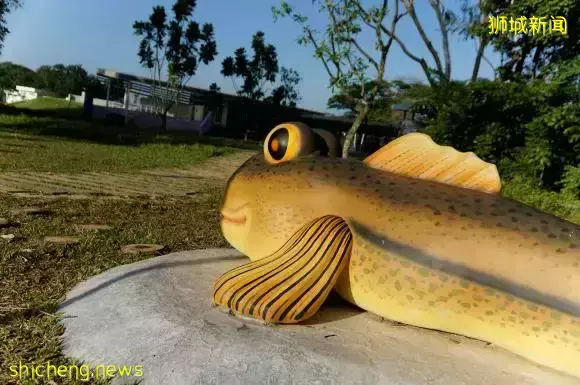 《即刻隨心所想，心想獅城》新加坡生態遊系列2