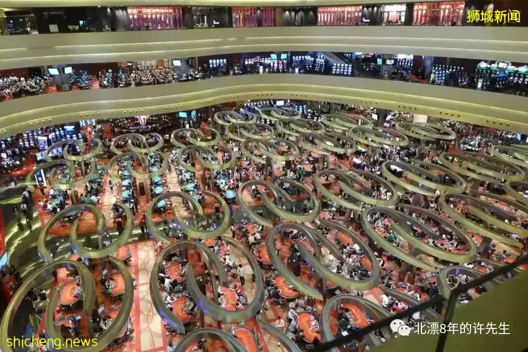 狮城丨新加坡(生活篇三)