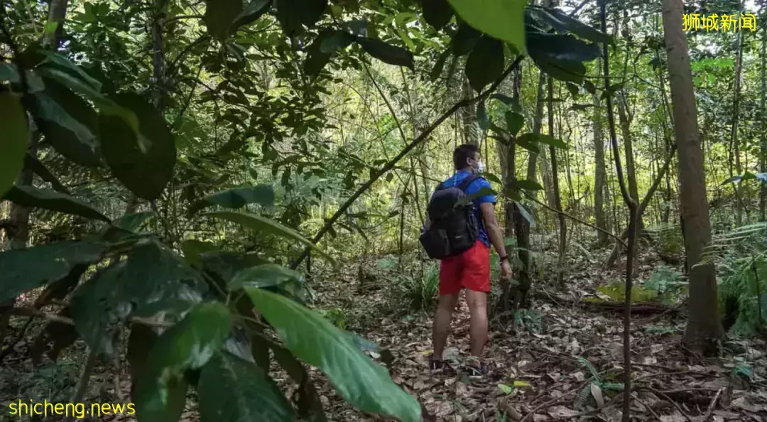 假期出遊 新加坡那些鮮爲人知的“寶藏”勝地