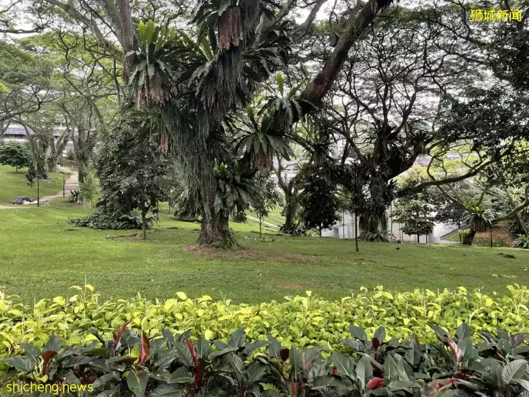 來NUS商學院交換一學期,興奮,還是興奮