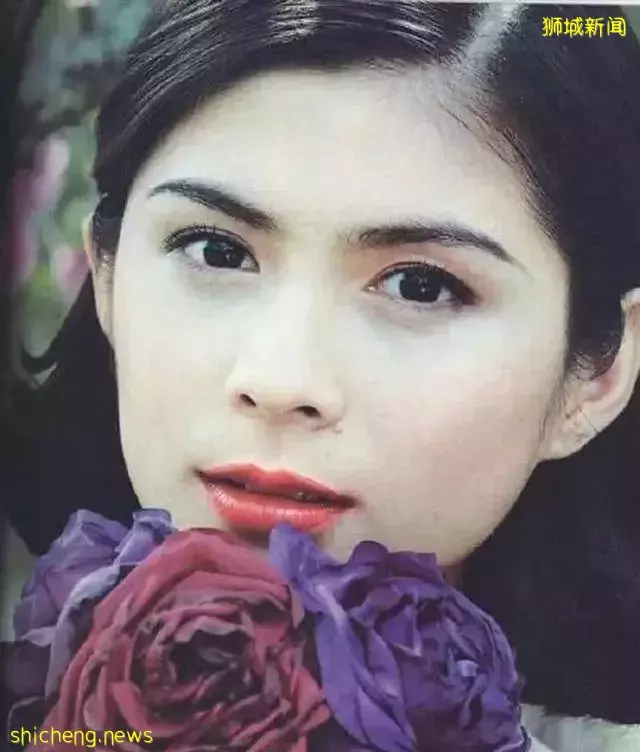 九十年代新加坡電視劇中美女如雲,如今她們境遇如何