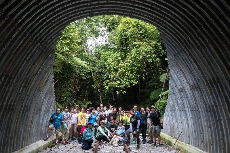 廢棄鐵路、徒步探險、網紅打卡地! 新加坡又一隱秘的角落