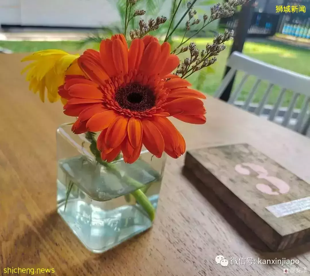 新加坡的这里如此浪漫又闲暇,在这工作就如度假