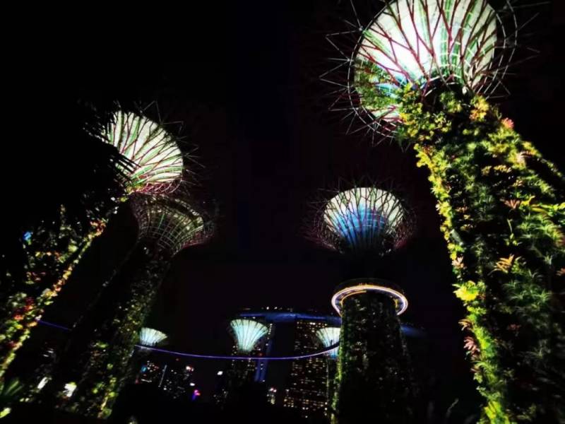 Travel手记 | 新加坡的第一印象不止鱼尾狮