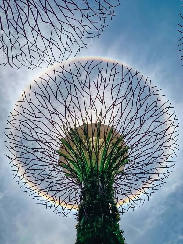 新加坡驚現絕美日暈彩虹光環，李顯龍總理、王瑞傑副總理也轉發了