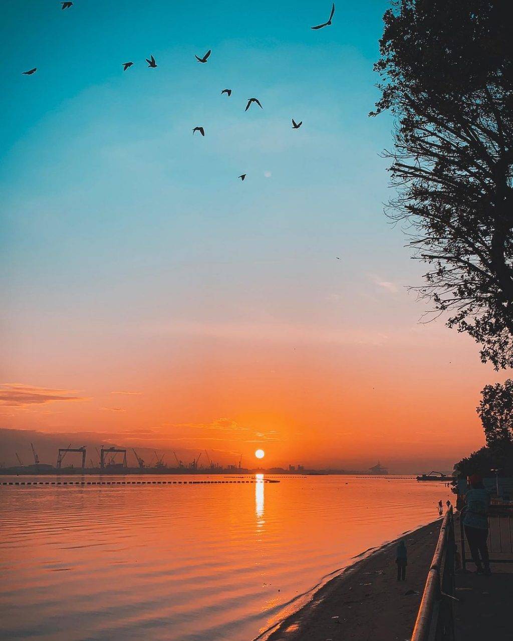 新加坡海岸公園🌊 Sembawang Park有趣玩法大公開🤫柔佛海峽景色+垂釣聚集地+戶外燒烤爐