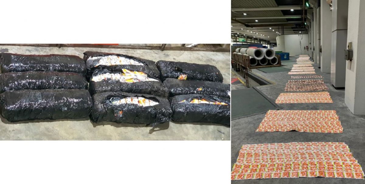 8101包嚼烟被藏木头下走私 在兀兰关卡被截获