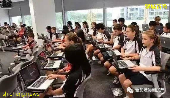 【免試入學】2022年新加坡幼升小全攻略，家長看過來