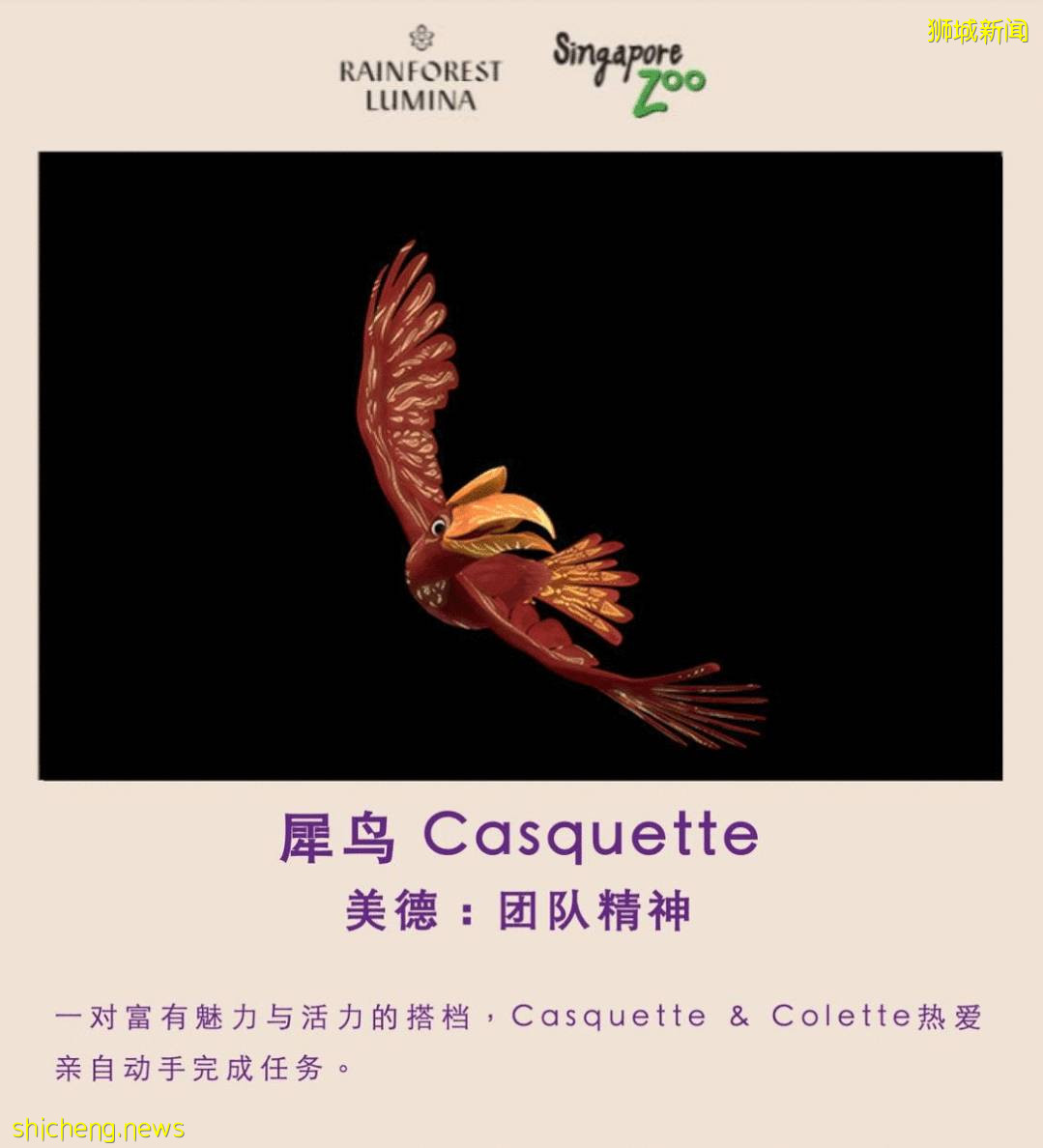 低至S$8！就3天！新加坡動物園“幻光雨林之夜”強勢回歸，亞洲第一夜遊體驗