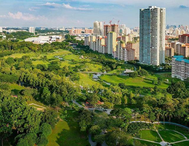 新加坡被马来西亚扫地出门，华裔领袖李光耀，如何带领它涅槃重生 