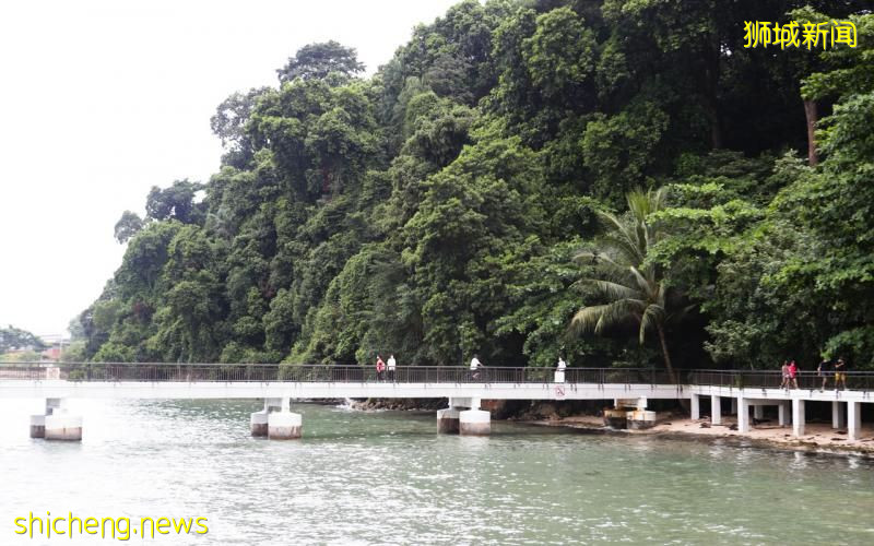 拉柏多自然保护区将展开森林修复计划