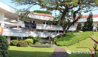 新加坡国家初级学院(NJC)简介