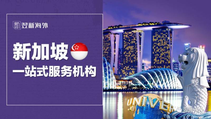 来新加坡，你肯定需要这些服务