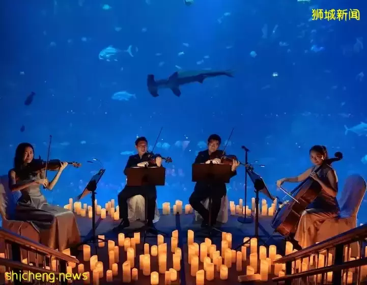 新加坡最新9場兒童劇＋音樂會，還有免費爵士樂專場，快去訂票