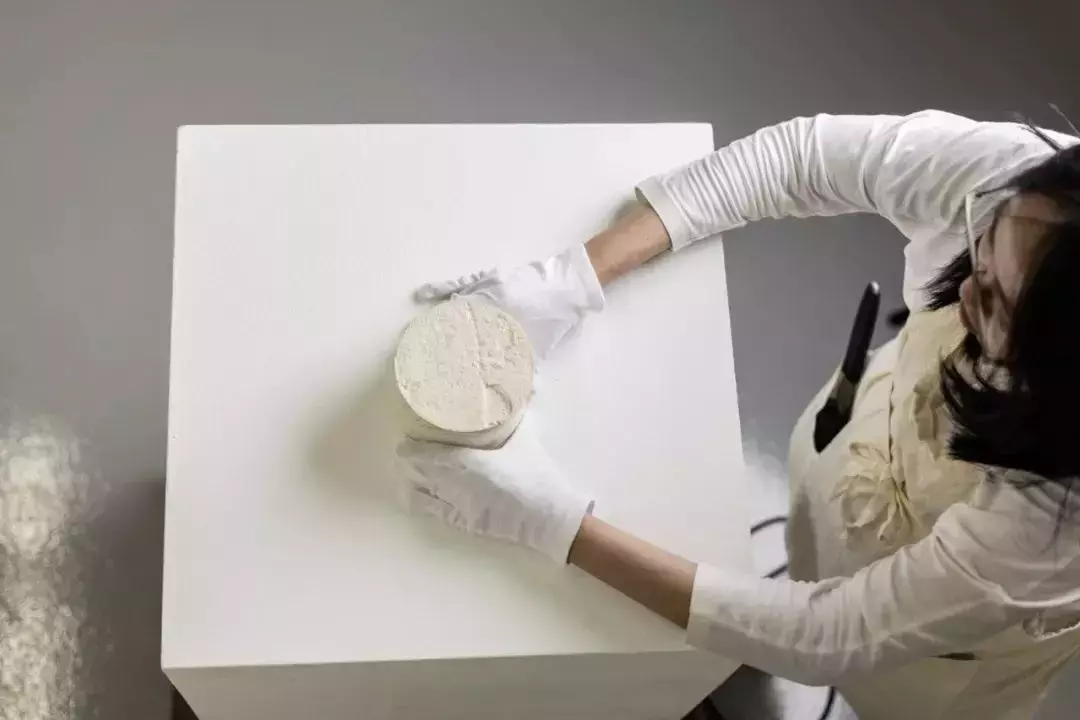 新加坡一月看展指南大放送