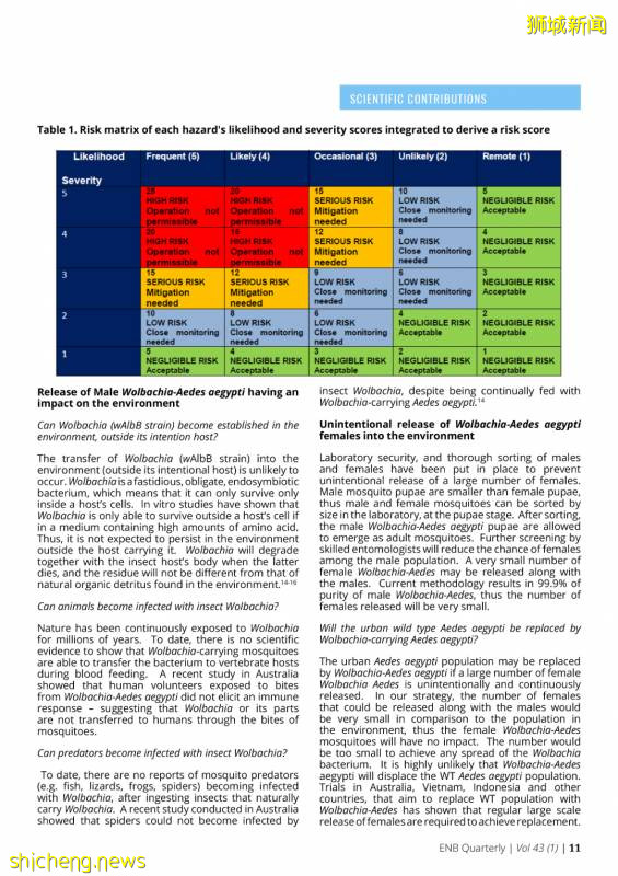 新加坡投放攜帶沃爾巴克菌雄蚊對抗登革熱