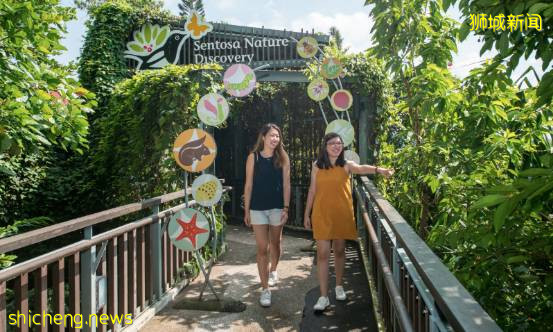 獅城DNA 重啓新加坡，與聖淘沙一起乘風破浪（上）