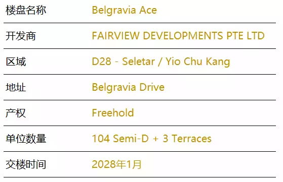 Belgravia Ace 王牌洋房別墅[優質罕見 永久地契 享公寓設施】