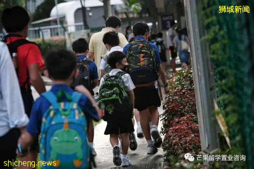 新加坡精英教育这事儿,要从低龄留学说起