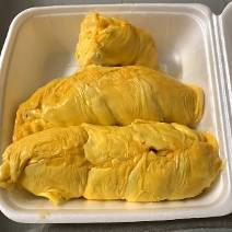 新加坡芽籠除了夜間的燈紅酒綠,最讓大衆著迷的竟然是它