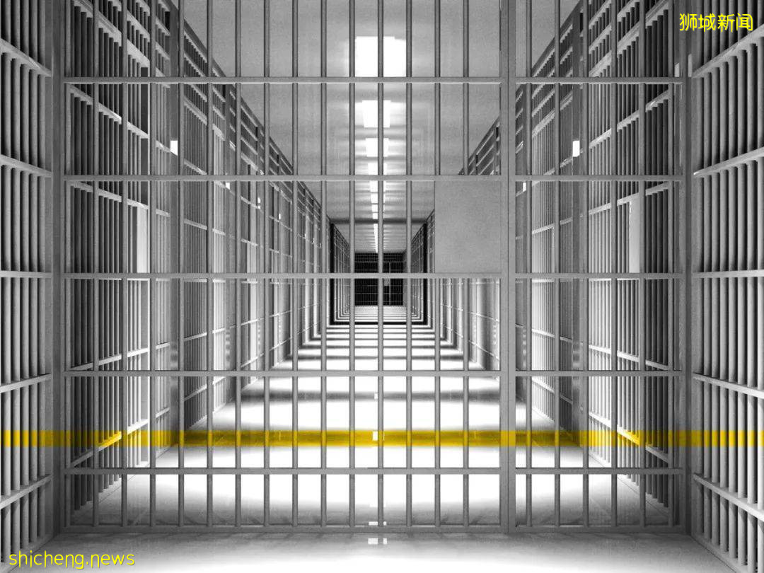 新加坡这个公园内20棵榴梿树大丰收!一群人等著捡,最高罚5万