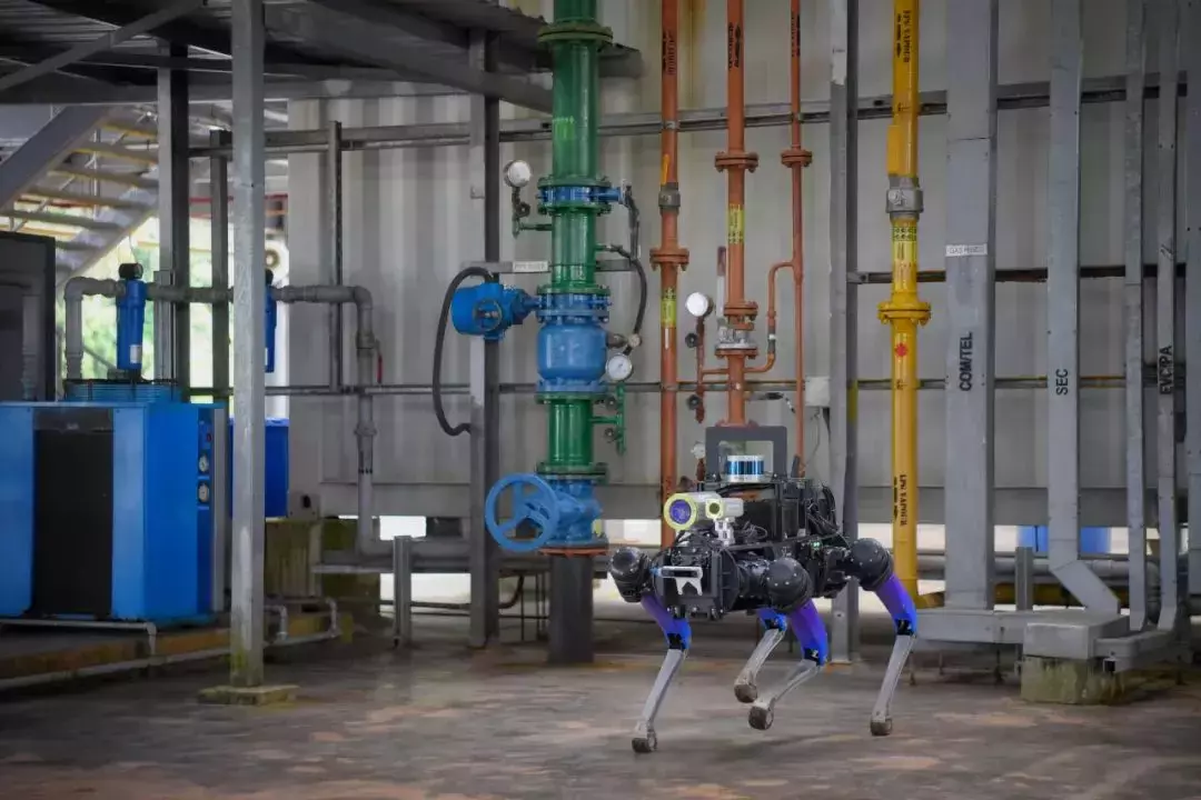 這個機器狗太棒了!可以代替警員在高危場所出生入死