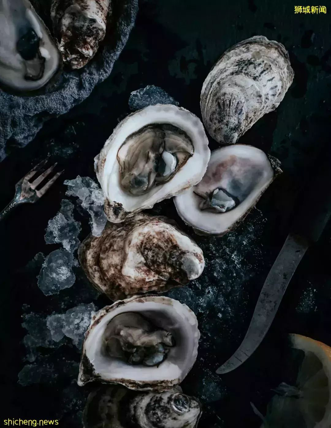 本周折扣！生蚝1新币！Coach五折！飞韩国机票低至227新