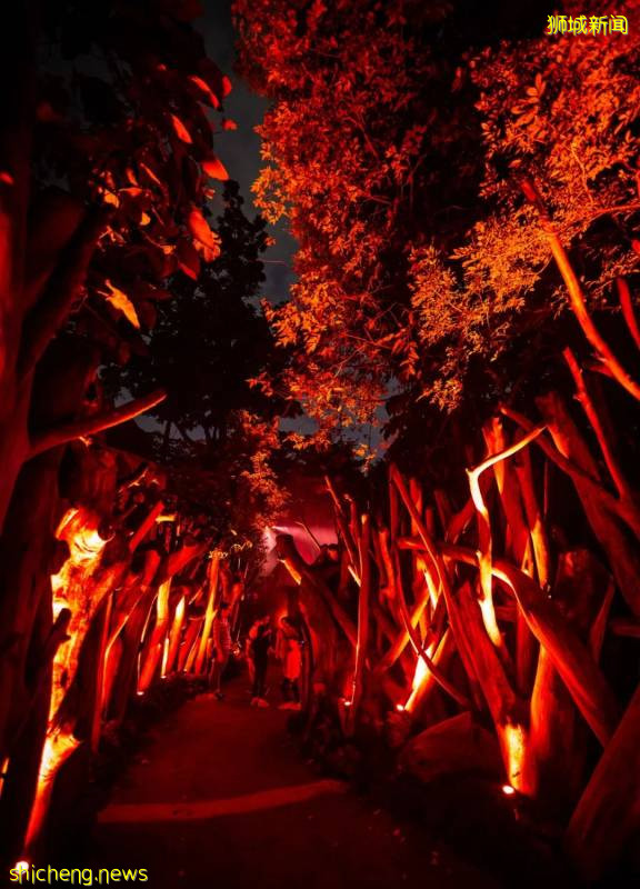 新加坡動物園沉浸式多媒體夜行體驗“RAINFOREST LUMINA”|CAAPA周末分享!