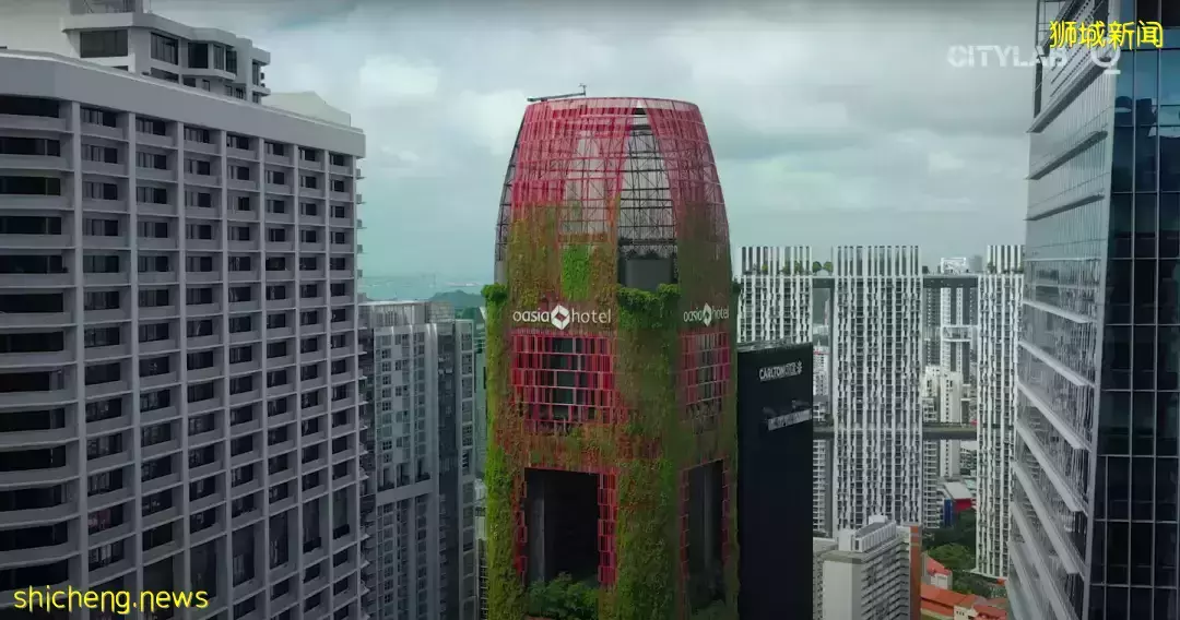 什麽是“冷卻新加坡計劃”