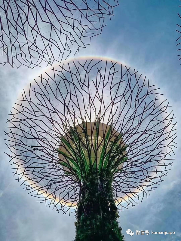 朋友圈刷屏!日晕奇景你们拍到了吗?