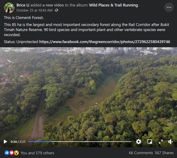 隐藏多年在金文泰的仙境,竟是新加坡面积第二大次森林