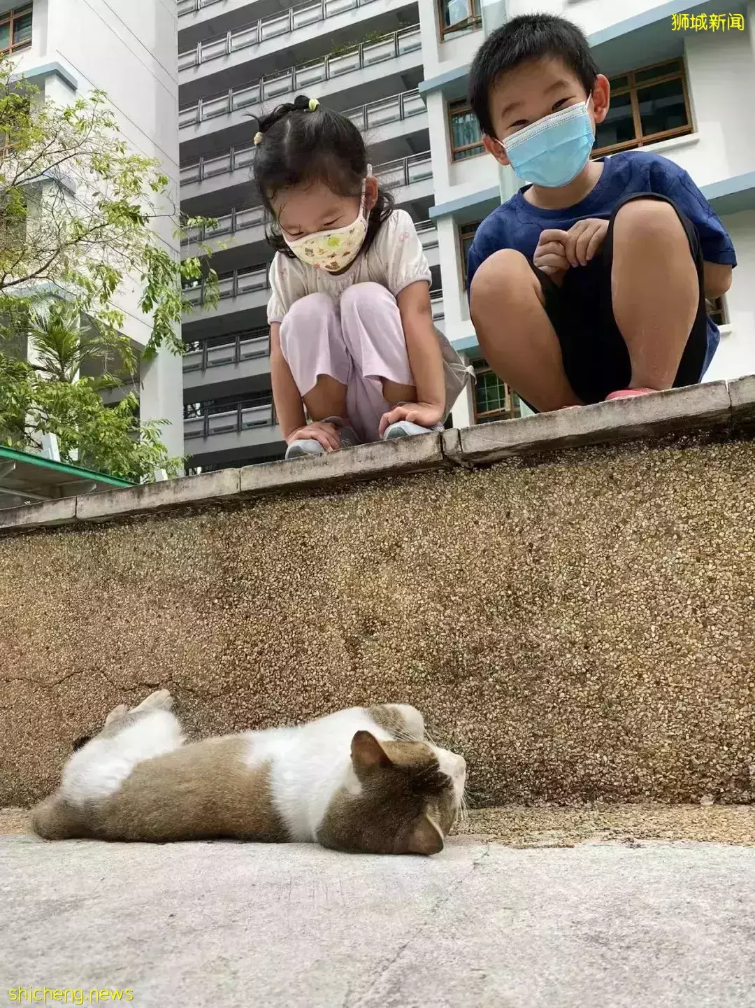 新加坡親子騎行的快樂~剛冒頭的蘑菇、曬太陽的大蜥蜴、嬉鬧打滾的水獺