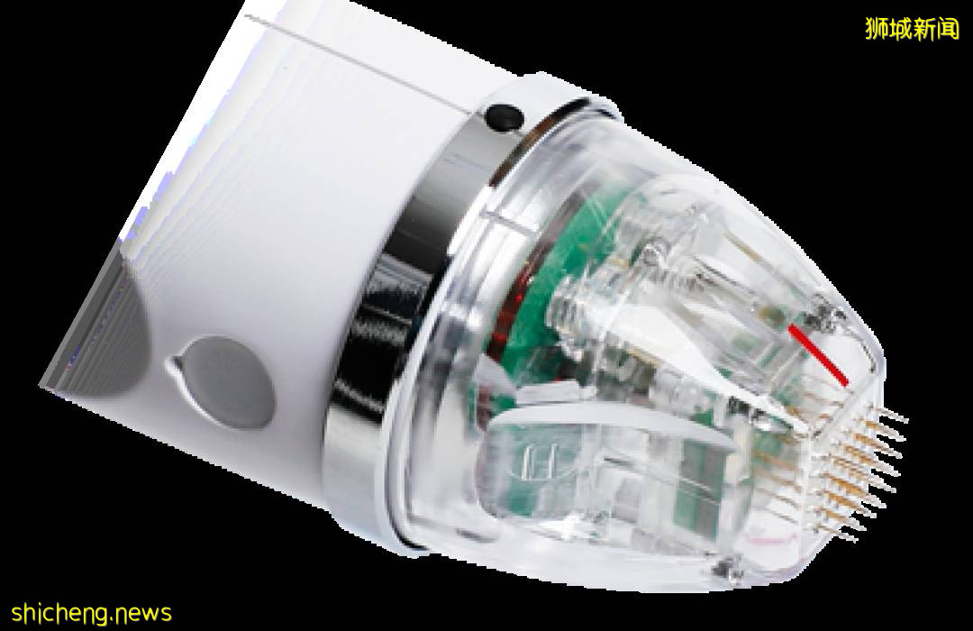 新加坡童年女神隐婚10年，41岁嫁富豪老公，50岁美成了天仙