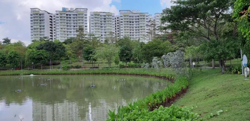 榜鵝:客路豬寮外行舟綠水前