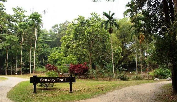 省钱！新加坡5个最美离岛攻略，花十几新币仿佛“出国游”